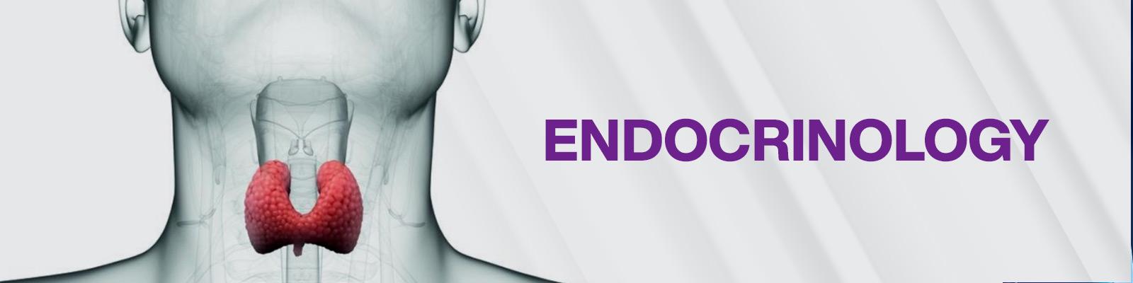 Endocrinology